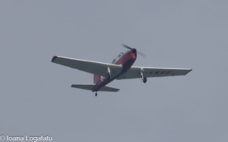 Vintage aircraft soaring through the azure sky